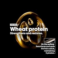 L'Oreal Professionnel Absolut Repair Shampoo 500mL — image 6