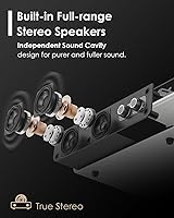 TANLANIN TE-2018BLK Vinyl Record Player — image 2