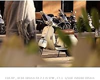 Canon RF24-105mm F4-7.1 IS STM Lens — image 4