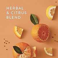 Thymes Mandarin Coriander Hand Wash Refill, 24.5oz — image 5