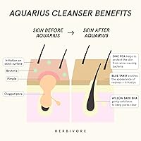 HERBIVORE Aquarius BHA + Blue Tansy Clarity Cleanser 3.3oz — image 7