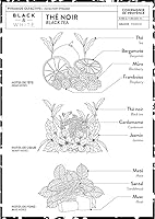 Compagnie de Provence Savon de Marseille Liquid Soap - Black Tea - 10oz — image 7