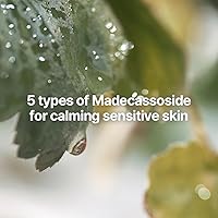 Pyunkang Yul Calming Skincare Gift Set — image 5