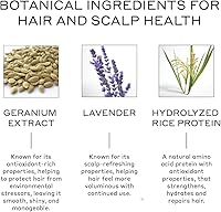 ZENAGEN Volume Foam 7oz — image 3