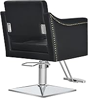 BarberPub Salon Chair 8813 — image 9