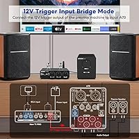 AIYIMA A70 Balanced Stereo Amplifier — image 6