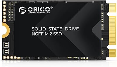 ORICO Y20M-2242 256GB M.2 SATA SSD