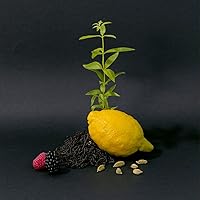 Compagnie de Provence Luxury Hand Cream - Black Tea 10oz — image 7