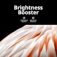 LG C3 Series 77-Inch OLED evo Smart TV — image 7