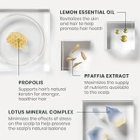 Rene Furterer Triphasic Reactional Concentrated Serum - 12 ct. — image 4