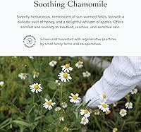 evanhealy Tea Tree Gel Cleanser 4oz — image 6