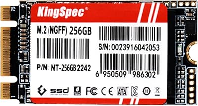 KingSpec NT Series 256GB M.2 SATA SSD