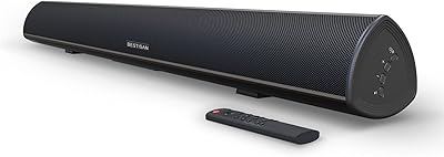 BESTISAN S9920 100W 40-inch Sound Bar