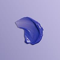 Goldwell Dualsenses Blondes & Highlights Anti-Yellow Conditioner 10.6oz — image 6