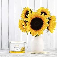 GiGi Professional Waxing Hair Removal Student Starter Kit + Honee Wax, 14 Ounces — image 9