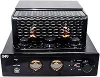 INFI Audio Hybrid Class AB Tube Amplifier 6N3 Power Amp — image 3