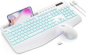 Trueque Wireless Keyboard and Mouse Combo Review