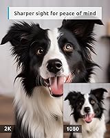 blurams Dome Flare A31S Pet Camera — image 2