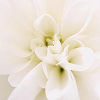 Le Monde Gourmand 000 Eau de Parfum 1oz — image 9