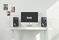Audio Express Koe B102 Bookshelf Speakers — image 5