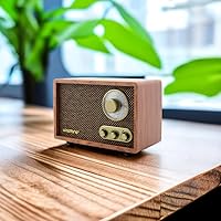 LoopTone AM/FM Retro Radio with Bluetooth Speaker — image 6