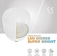 LimoStudio AGG3434 LED 40W Softbox Lighting Kit — image 3