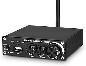 Douk Audio M1 PRO Bluetooth Power Amplifier Review