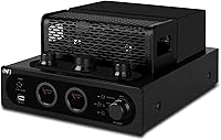 INFI Audio Hybrid Class AB Tube Amplifier 6N3 Power Amp — image 2