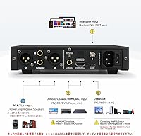 SMSL DO100 PRO HiFi Balanced DAC — image 6