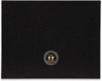 Goldwood TR12F 12″ Single Truck Box Speaker Cabinet — image 3