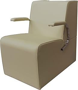 Chromium Professional Platform Dryer Chair by PureSana (Tan) Review