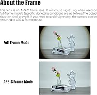7Artisans 4mm F2.8 Fisheye Lens for Sony E-Mount — image 10