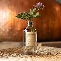 evanhealy Rose Geranium HydroSoul 4oz — image 3