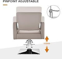 Artist Hand Grey Salon Chair — image 5