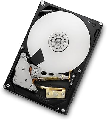 HGST Ultrastar 7K4000 4TB 7200 RPM SATA Internal Hard Drive