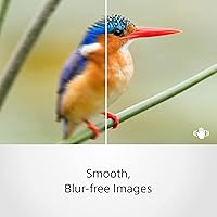 Sony SEL35F18 35mm f/1.8 Prime Lens — image 3