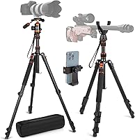 Nietoto 2-in-1 Tripod for Camera & Hunting, 68″ — image 2