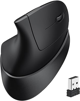 iClever TM254 Ergonomic Wireless Mouse