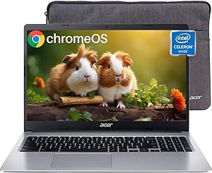 Acer Chromebook 315 Laptop 15.6″ Review