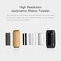 HiVi-Swans D300 Bluetooth Powered Bookshelf Speakers — image 4