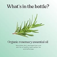 Maple Holistics Certified Organic Rosemary Oil for Hair 4oz — image 3