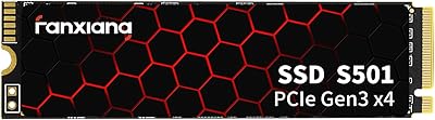 fanxiang S501 256GB NVMe SSD