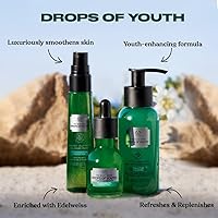 The Body Shop Drops Of Youth Youth Concentrate Serum 1 oz — image 7