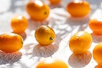 KORRES Cashmere Kumquat Eau de Toilette 1.69oz — image 4