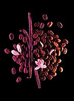 Yves Saint Laurent Black Opium Eau De Parfum 1.6 oz — image 3