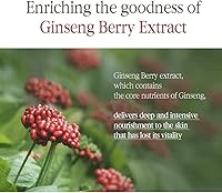 Pyunkang Yul Black Tea Boosting Serum 45ml — image 5