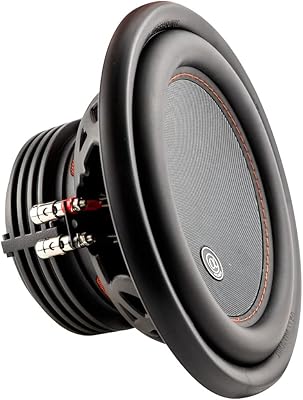 Alphasonik NSW410 10-inch Car Subwoofer