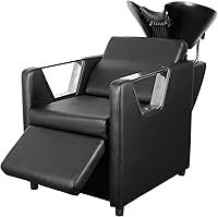 Polar Aurora Backwash Chair — image 1