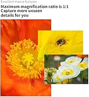 7artisans 60mm F2.8 Mark II Macro Lens — image 4