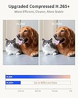 ANNKE 4K-I91FJ Indoor Security Camera — image 9